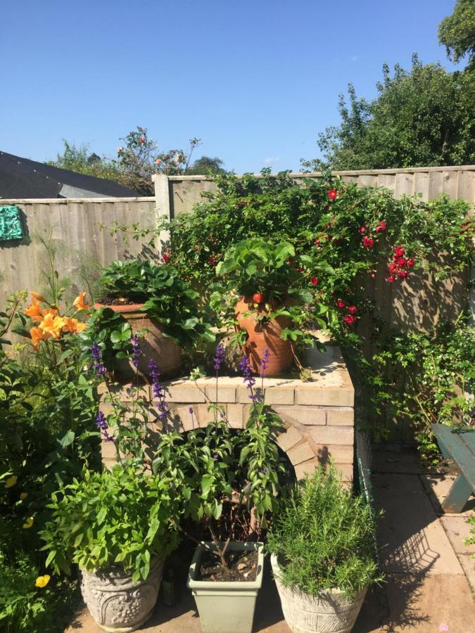 Hyacinth Bed & Breakfast ウェリントン エクステリア 写真