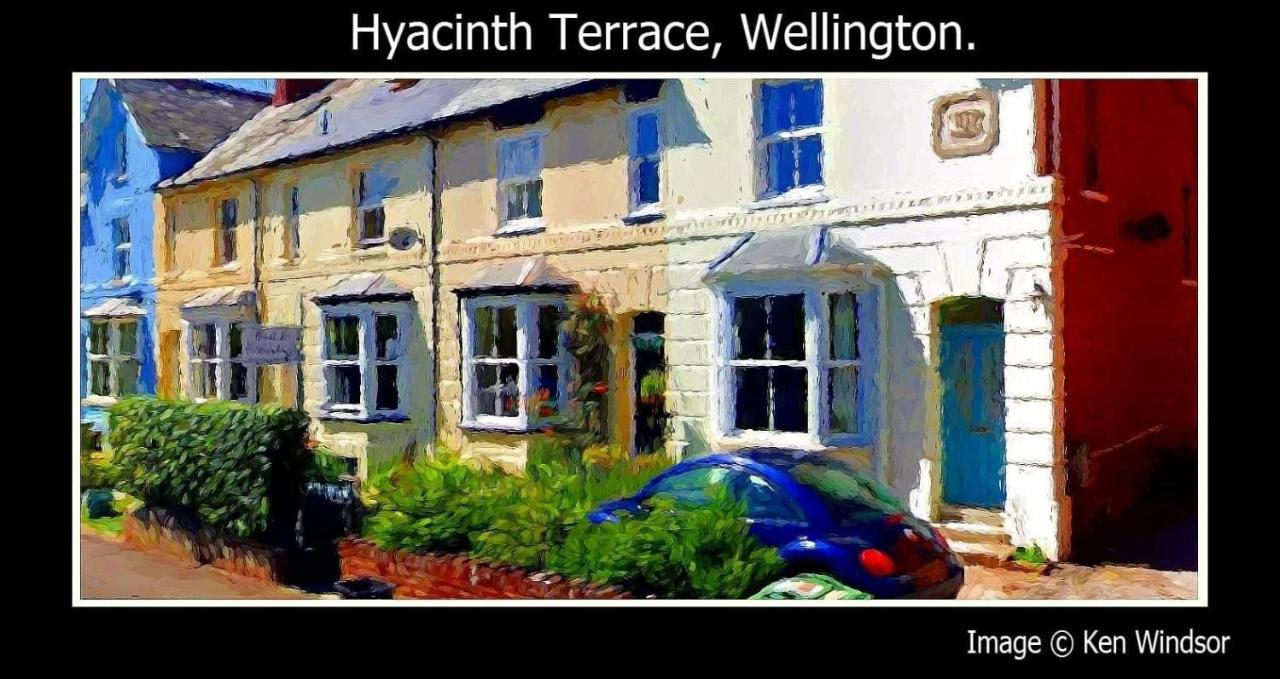 Hyacinth Bed & Breakfast ウェリントン エクステリア 写真