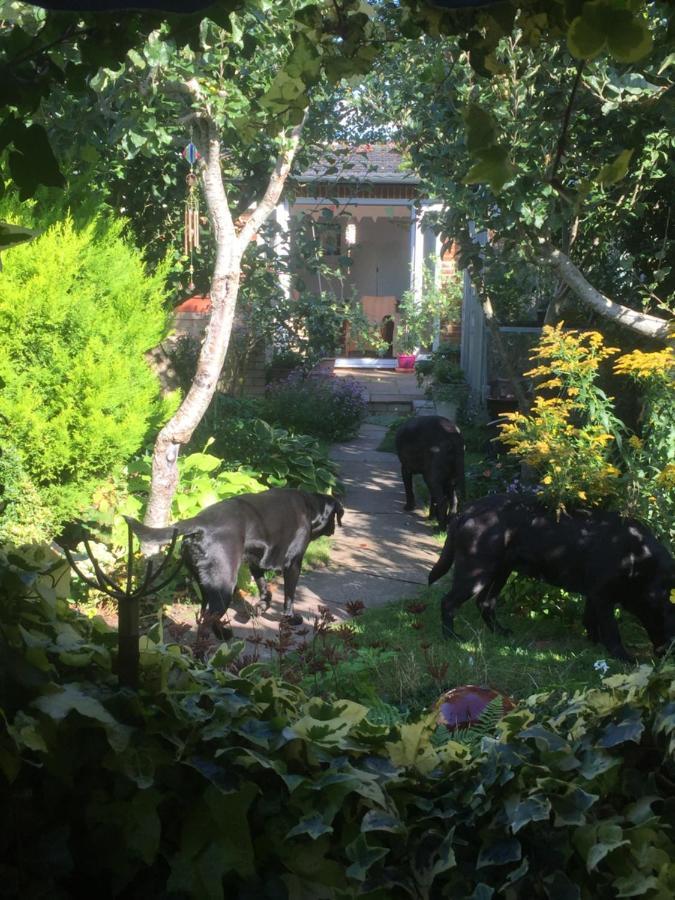 Hyacinth Bed & Breakfast ウェリントン エクステリア 写真